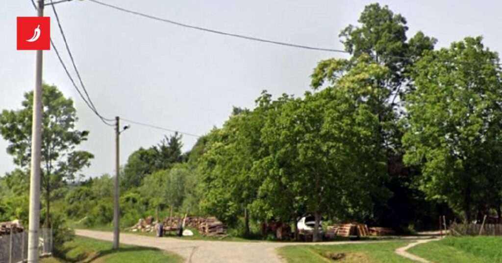 スラボニアでは、彼らは馬小屋で動物をレイプするために男性を連れてきました。起訴が提起されました