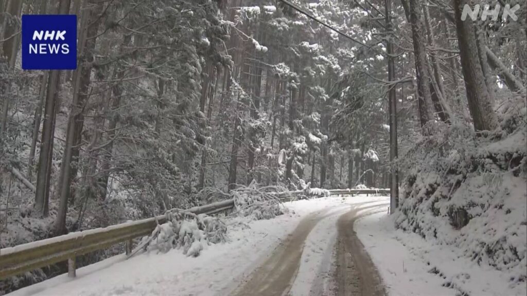 山口 倒木の下敷きで警備員死亡 雪などで地盤緩んでいたか