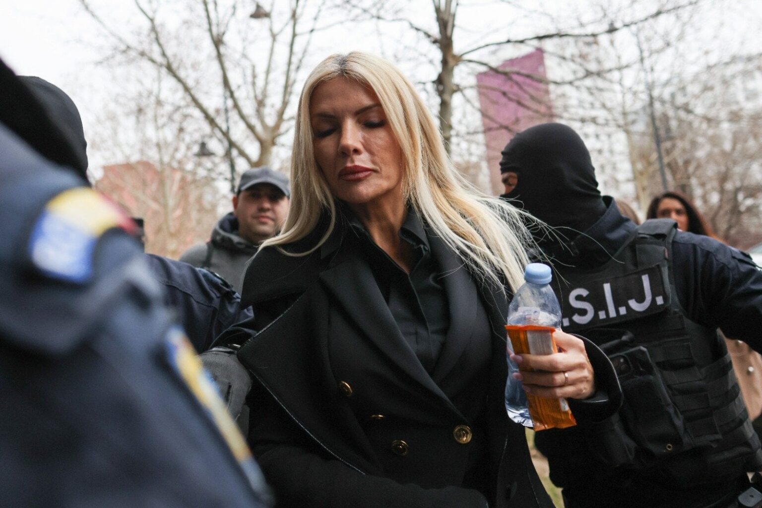 最高裁判所によって釈放されたLaura Vicolは、制御措置なし /ウラジミールCiorbæとPostoacæBrothersが60日間司法管理下に置かれました /決定は最終的です