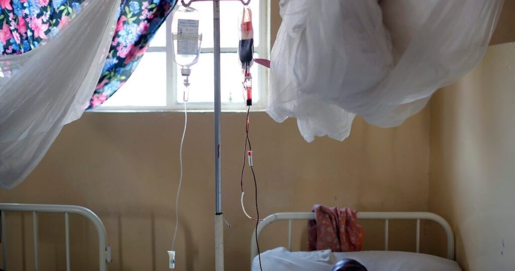 不明な病気は、症状と死亡の間の時間でコンゴの一部で50人以上を殺します