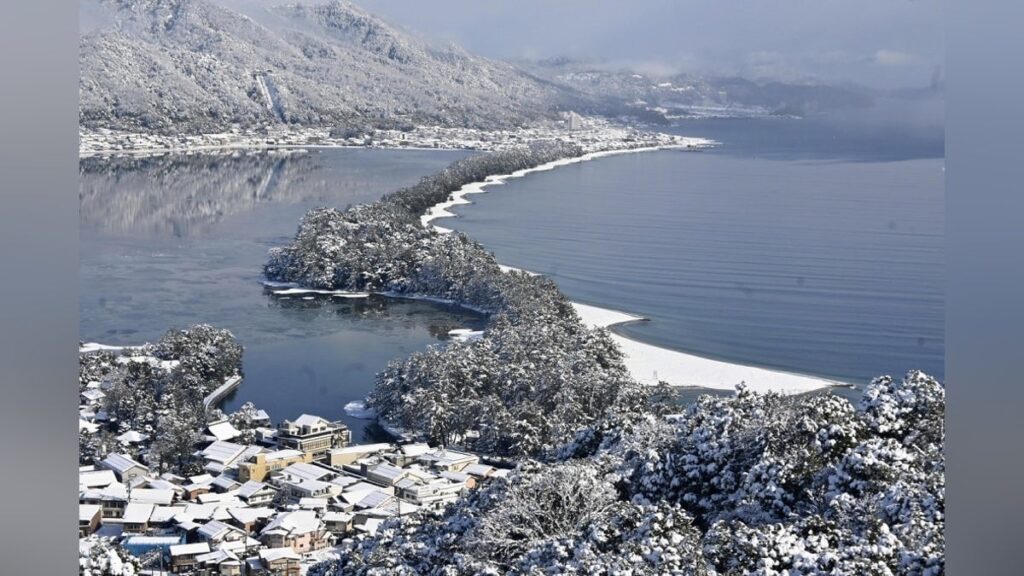 雪化粧した天橋立「白い竜が天に昇るよう」…雪かきに追われ「筋肉痛になりそう」