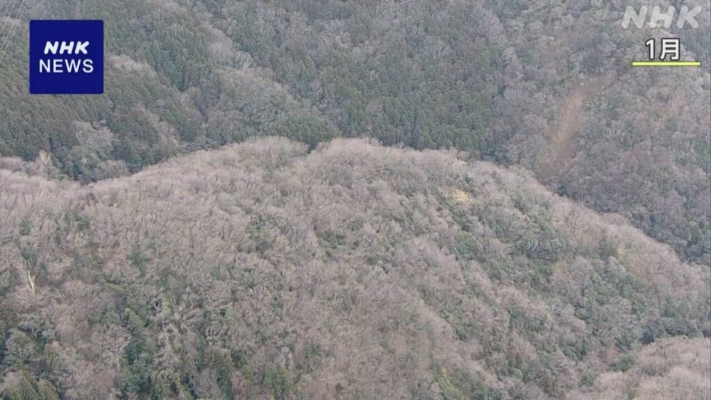 大阪 強盗殺人事件 ATMで引き出した現金 借金返済に充てたか | NHK