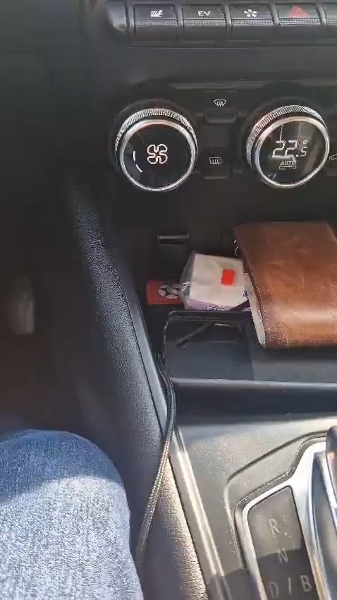 Georgescuの保持からのビデオ