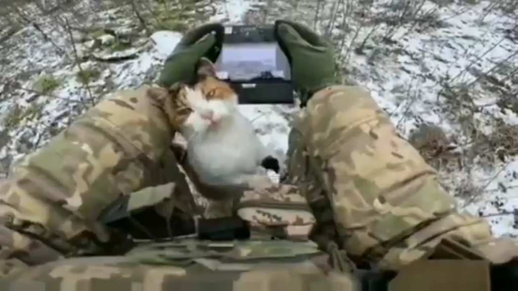 猫はドローンを操作するウクライナの兵士に登ります