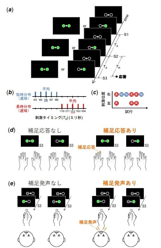 発声などの補足動作が運動タイミングの正確さを向上させることを検証：医療技術ニュース - MONOist｜ITmedia
