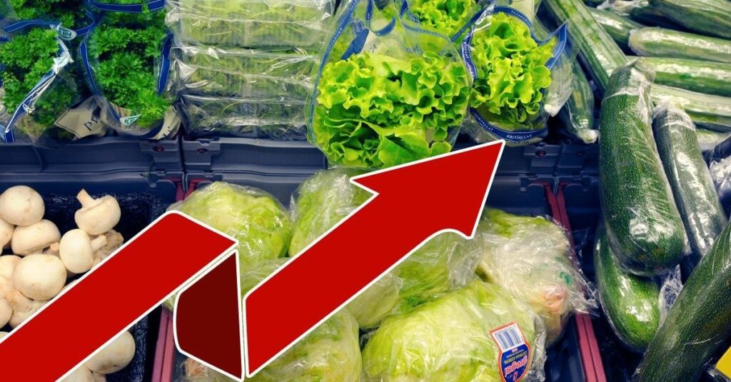 食料価格の上昇 - キュウリは価格を急いでいます