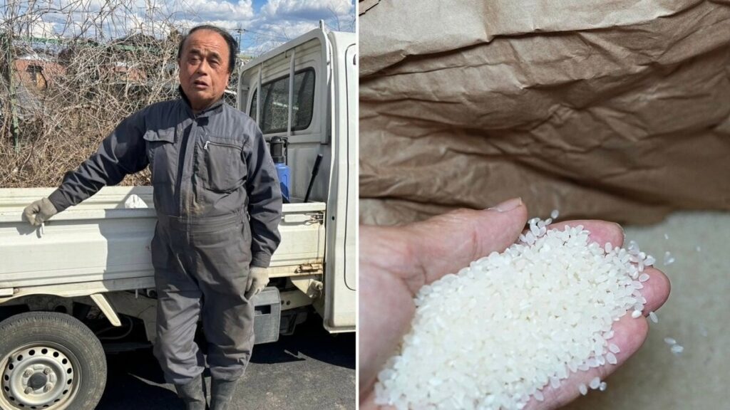 「コメは生産者だけが儲からない」「俺の代で終わり」…会社員としての給料を赤字に補填していた兼業コメ農家の嘆き「近い将来、国産米は金持ちしか食べられなくなる」