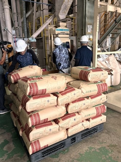 【低温倉庫でなくても虫にカビ】福岡市の建設会社ではコメを倉庫に山積み「焦って安く売る必要ない」