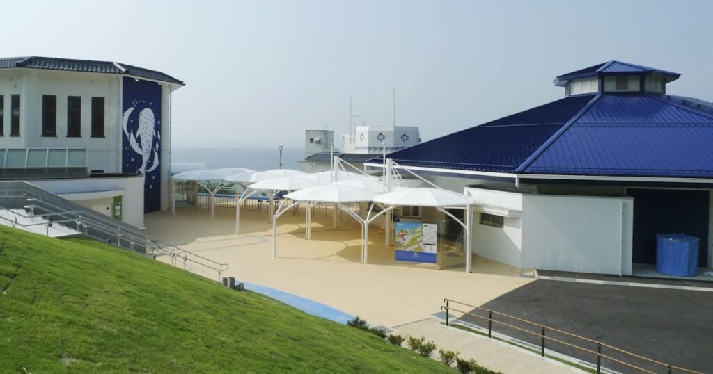 のとじま水族館全面再開へ 3月22日、アシカが帰還 石川県七尾市
