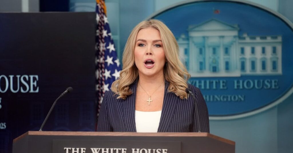 詐欺を証明しようとすると、トランプの報道官秘書は、ドナルド・トランプとイーロン・マスクが排除していると思われる詐欺について尋ねられたときに答えがなかった。