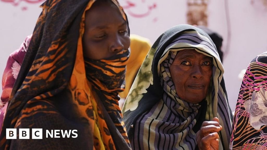 BBCニュース - スーダンへの私たちの援助のために「人々は飢えます」