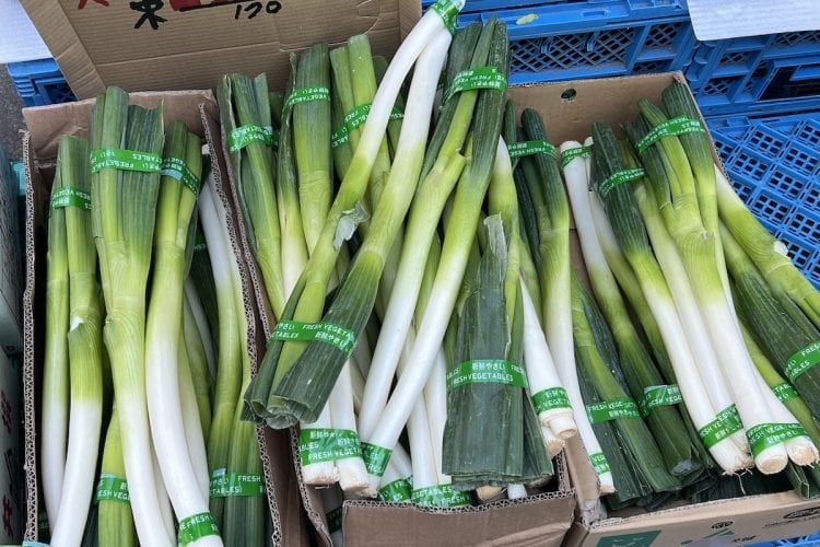「もったいない」「臭い」…白ネギの“青い部分”を食べるか食べないかで家庭内で紛争勃発　東日本出身者と西日本出身者で対立、食習慣の違いも影響か