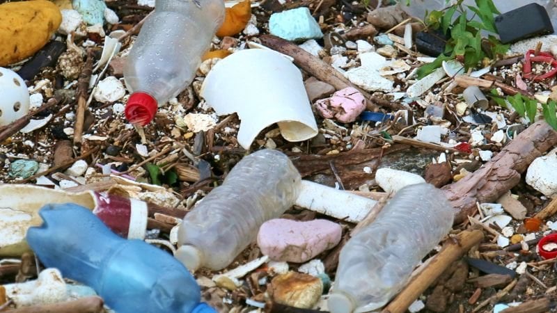 人間の脳のサンプルには、スプーン全体のナノプラスチックの価値が含まれています、と研究によると