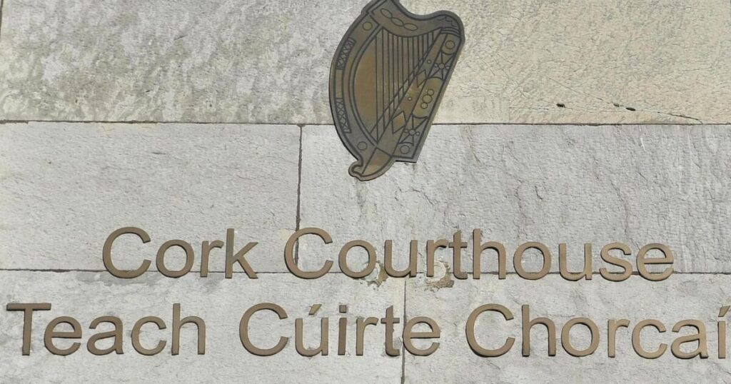 アイルランドから嫌がらせで禁止された男は、コルク裁判所に「私はアイルランドの王です」と語っています。