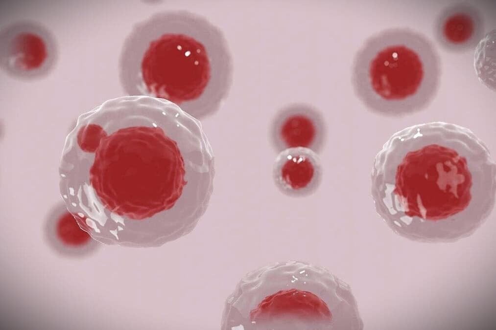 細胞を若返らせるカギが発見される...日本の研究チームが発表【最新研究】