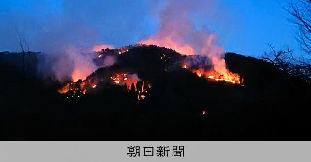 「山から白煙が上がっている」 岩手・大船渡で山林火災 延焼続く