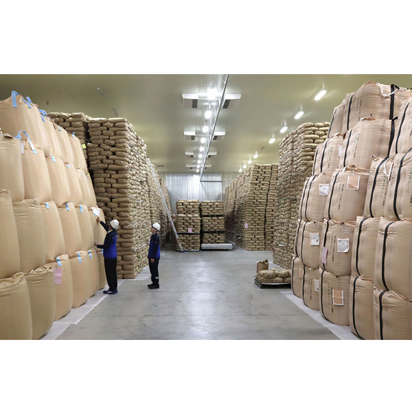 備蓄米放出でも政府はコメ価格を下げる気なし…識者が見解「相場を維持したい」思惑とは｜話題の焦点 - 日刊ゲンダイDIGITAL