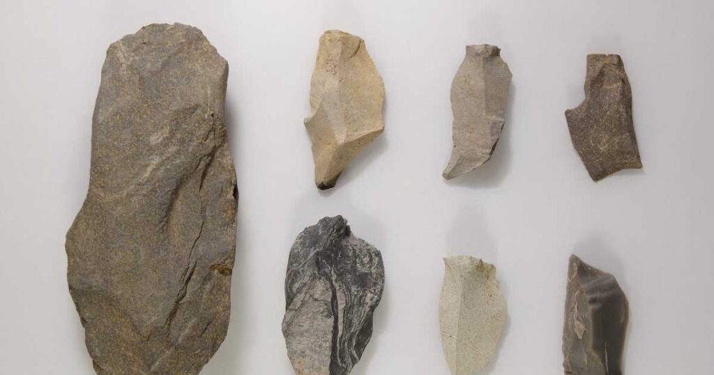 国内最古級か、3万6000年前の石器群が出土 埼玉・志木市で28点