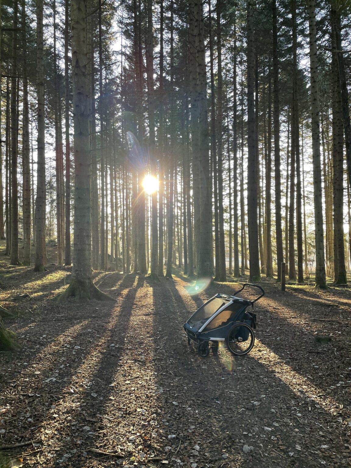 時々スウェーデンでの生活はこれ以上難しくありません