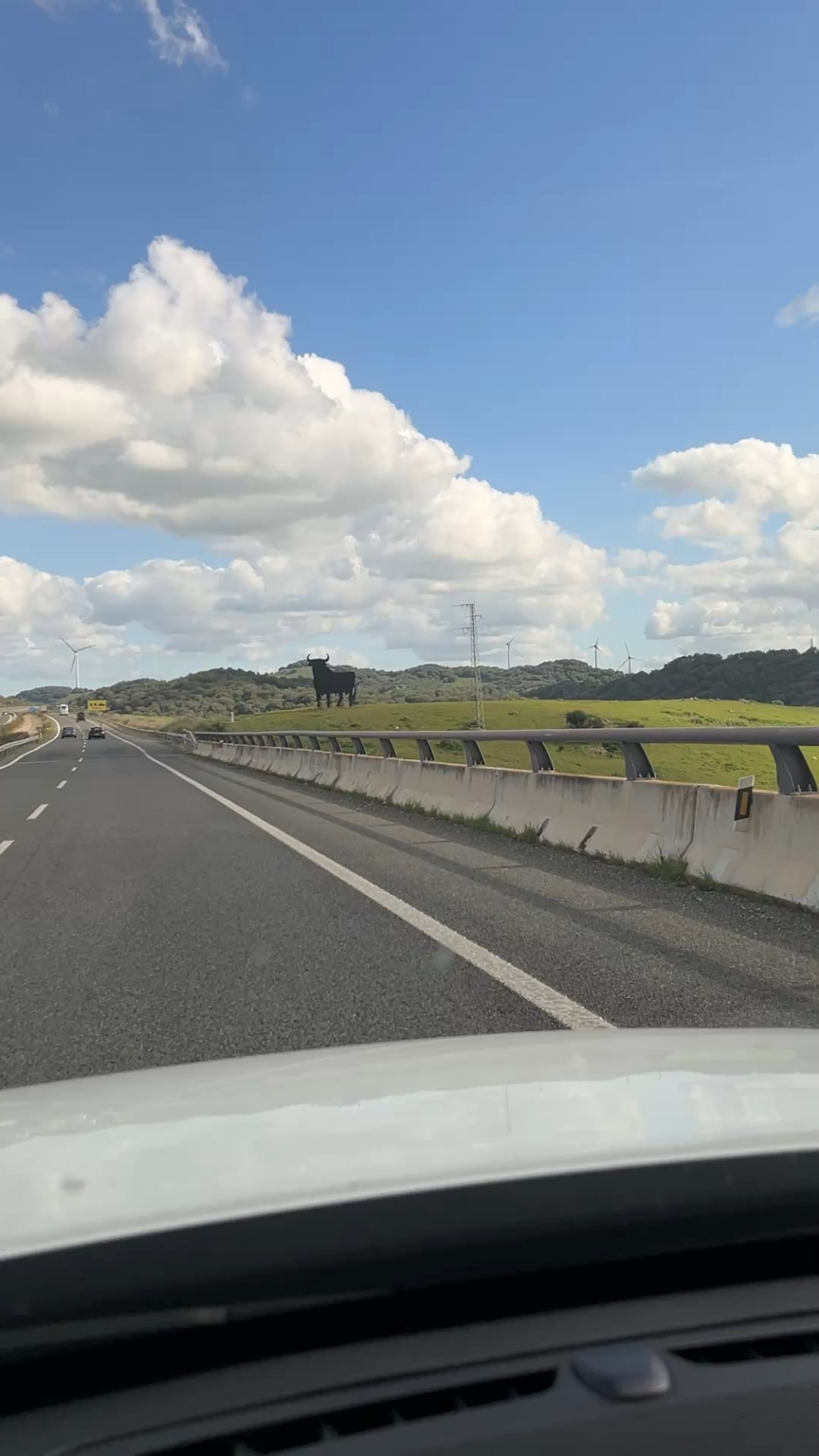 高速道路でこれを見たとき、あなたがどの国であるかは疑いの余地がありません…🇪🇸