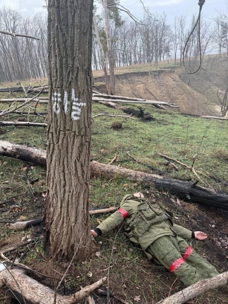 ロシアの兵士の間での自殺の事例は、北朝鮮に広がっています。北朝鮮軍が最前線から撤退した後、近くで自殺団体が発見され、韓国のシンボルが隣に描かれました。木のサインは「空」を意味します