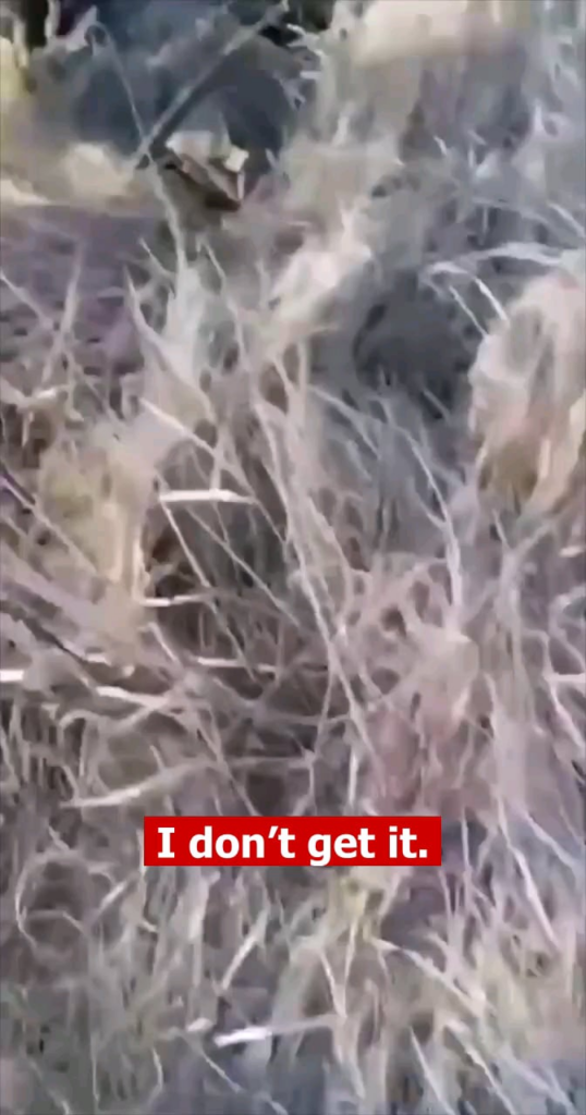 ウクライナ軍はロシアの侵略者のグループを排除しました