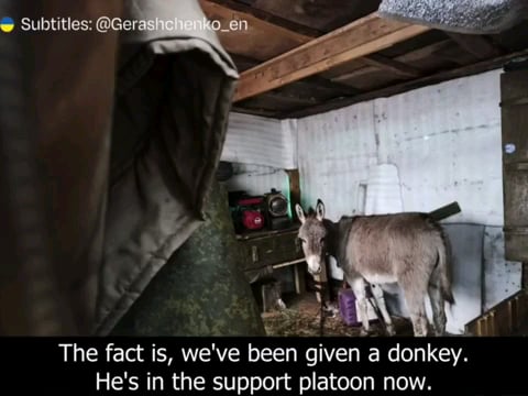 あなたがそれがこれ以上狂気にならないと思うとき：彼らのウラルトラックが燃やした後にロシアのユニットが交換車両を要求したとき、彼らはロシアの防衛大臣によって弾薬を運ぶためにロバを送るためにロバを送りました