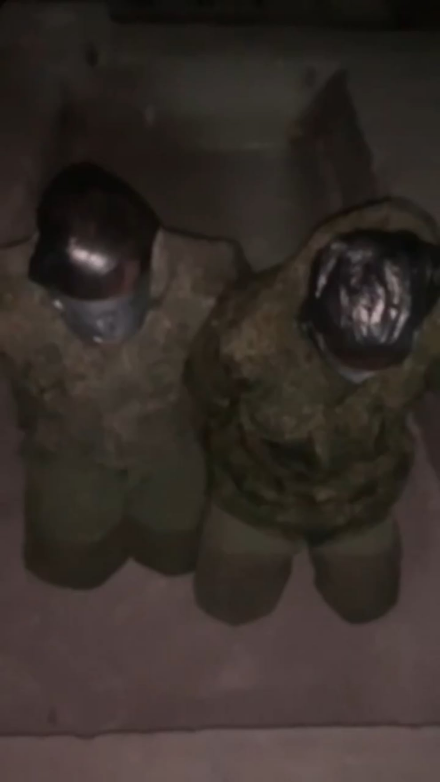 パルチザンは、最前線の後ろに2人のロシア兵を捕らえました。彼らはトラックを運転していました。 2025年2月