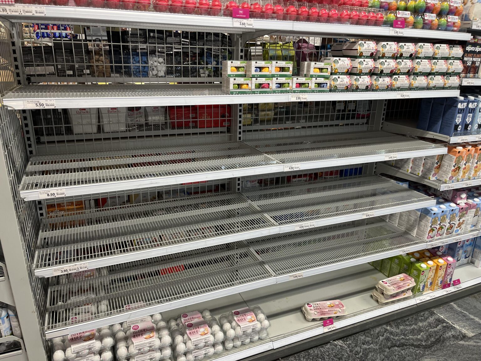 卵の不足？
