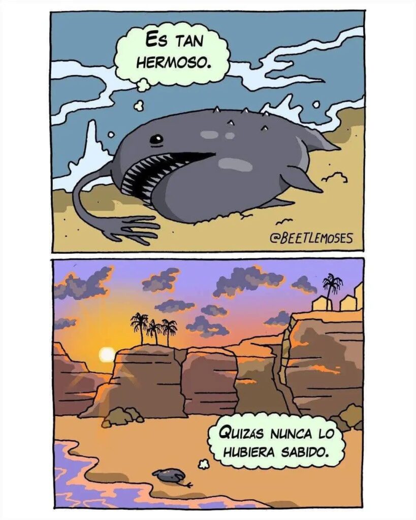 とても美しいです...