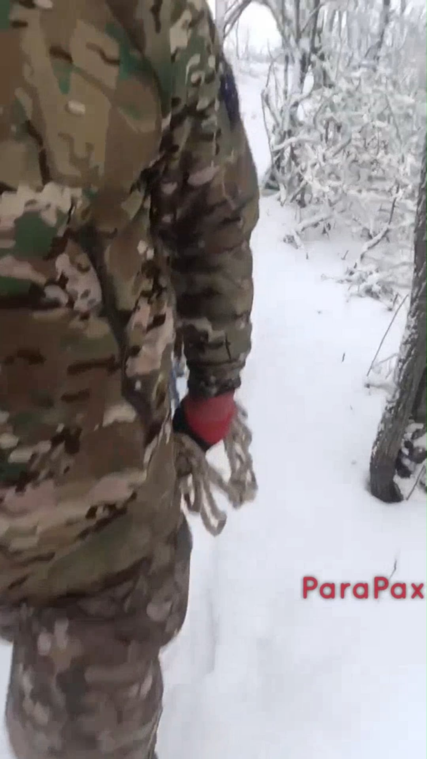 ロシア人は陸軍にロバを使い始めました