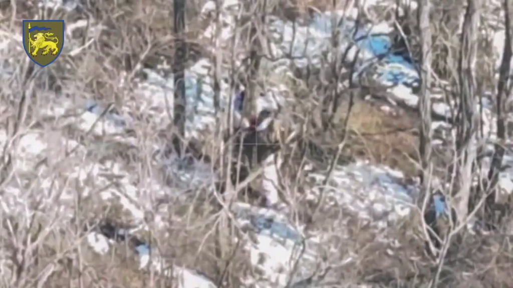 罰としてのロシアの兵士は、ロシア人の仲間によって戦場の直後の木に縛られています。無線迎撃により、彼らはそれを「ベイビーヤガ犠牲」と呼んでいることが明らかになりました。