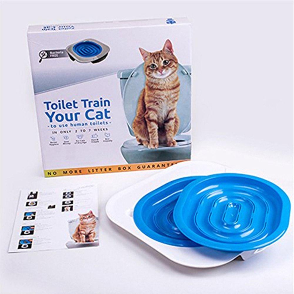 猫に教えるにはどうすればよいですか？