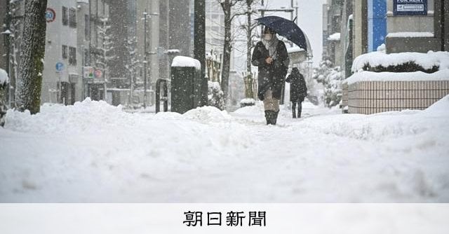 一連の大雪で12人死亡、 重軽傷158人に 除雪「十分注意を」