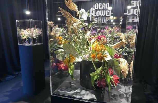 外は花屋です。内部では、アイルランドで激しく殺された女性の厳しいリマインダーです