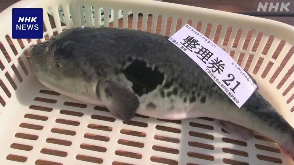 山口 下関 「ふくの日まつり」 大勢の人たちでにぎわう