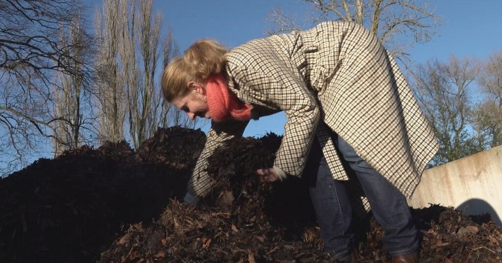 ルンドの植物園は、より良い環境のために泥炭を廃止しています
