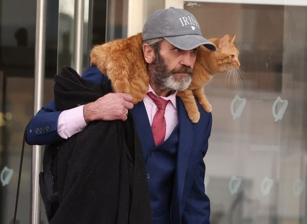 ダブリナーは、ペットの猫オリバーを連れてくることができない限り、裁判に耐えることを拒否します。 - 「オリバーは私の人生で最も重要なことです。妻や子供がいません」