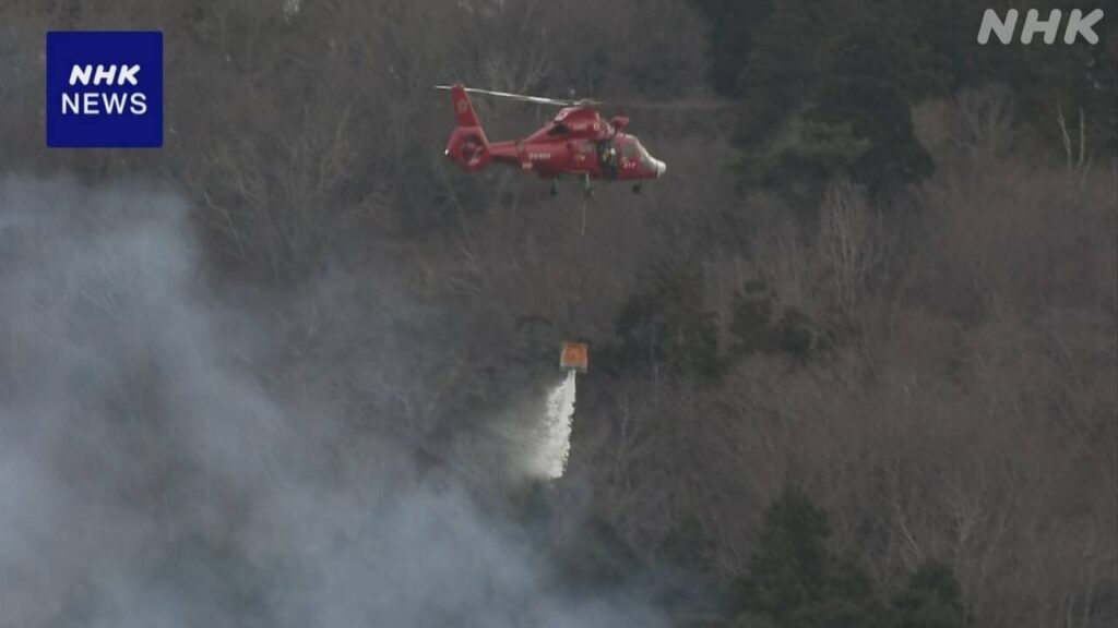 岩手 大船渡 山林火災 鎮圧のめどたたず 24日も朝から消火活動
