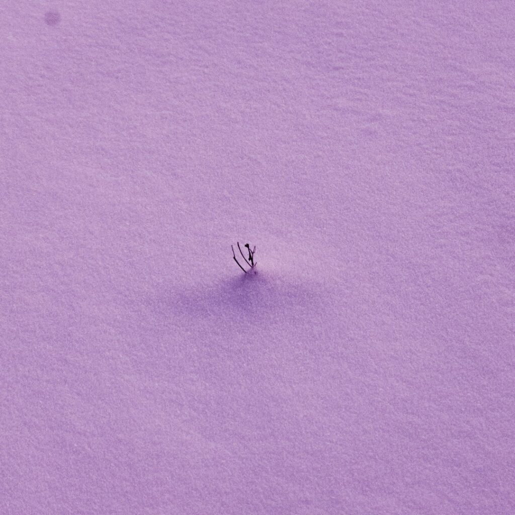 これまでフィンランドでの私の時代の写真