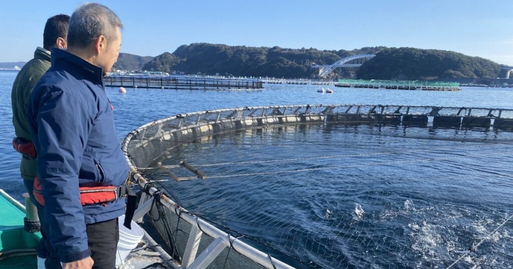【ウナギもはよ】投資も増え､ようやく確立したマグロ完全養殖。まさかの天然モノのぶり返し､餌の大高騰。人気なくなり生産量が大減少､撤退も相次ぐ