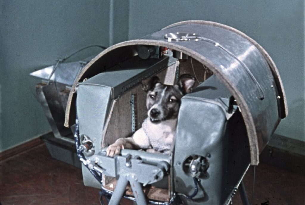 ソ連の「宇宙飛行犬」ライカの悲劇 動物実験の倫理とは