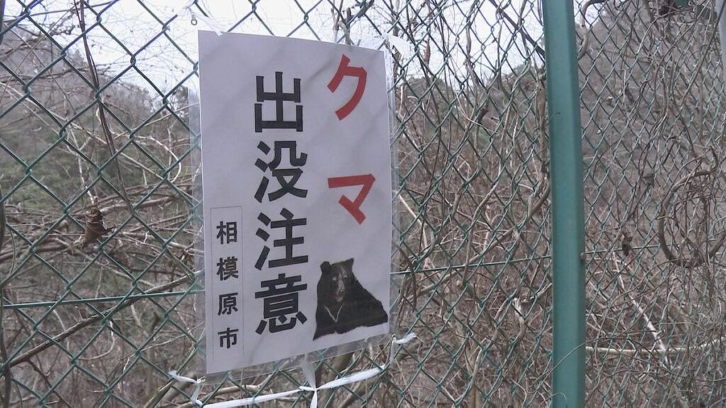 相模原市で60代女性がクマに襲われ左手の親指を軽いけが ツキノワグマか