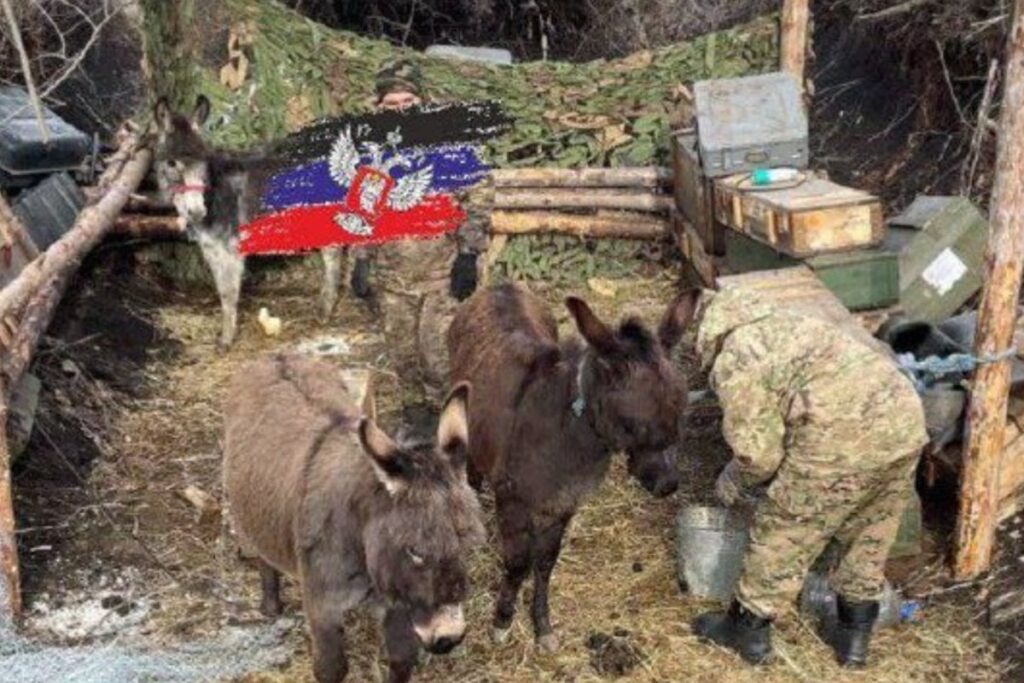 ロシアは、ウクライナの軍隊に弾薬を持ち込むためにロバを使用することを余儀なくされました