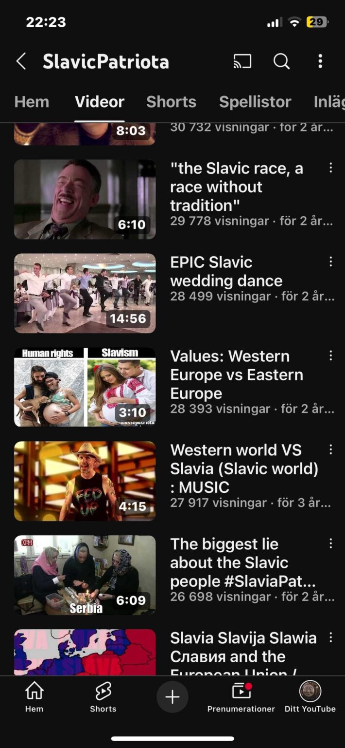 このようなYouTubeチャンネルについてどう思いますか？