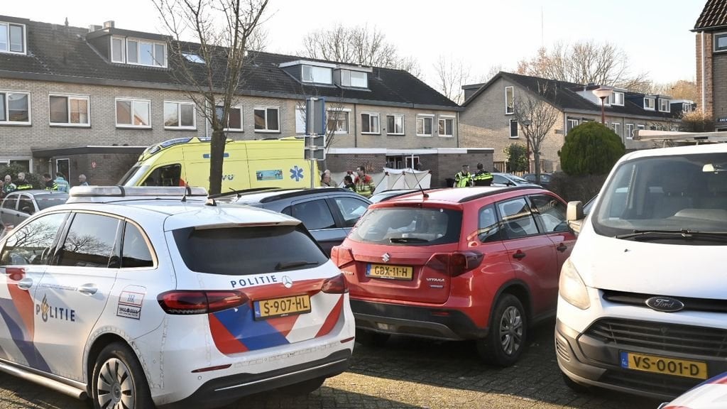 Nieuwegeinで刺された11歳の少女、逮捕された疑い（29）