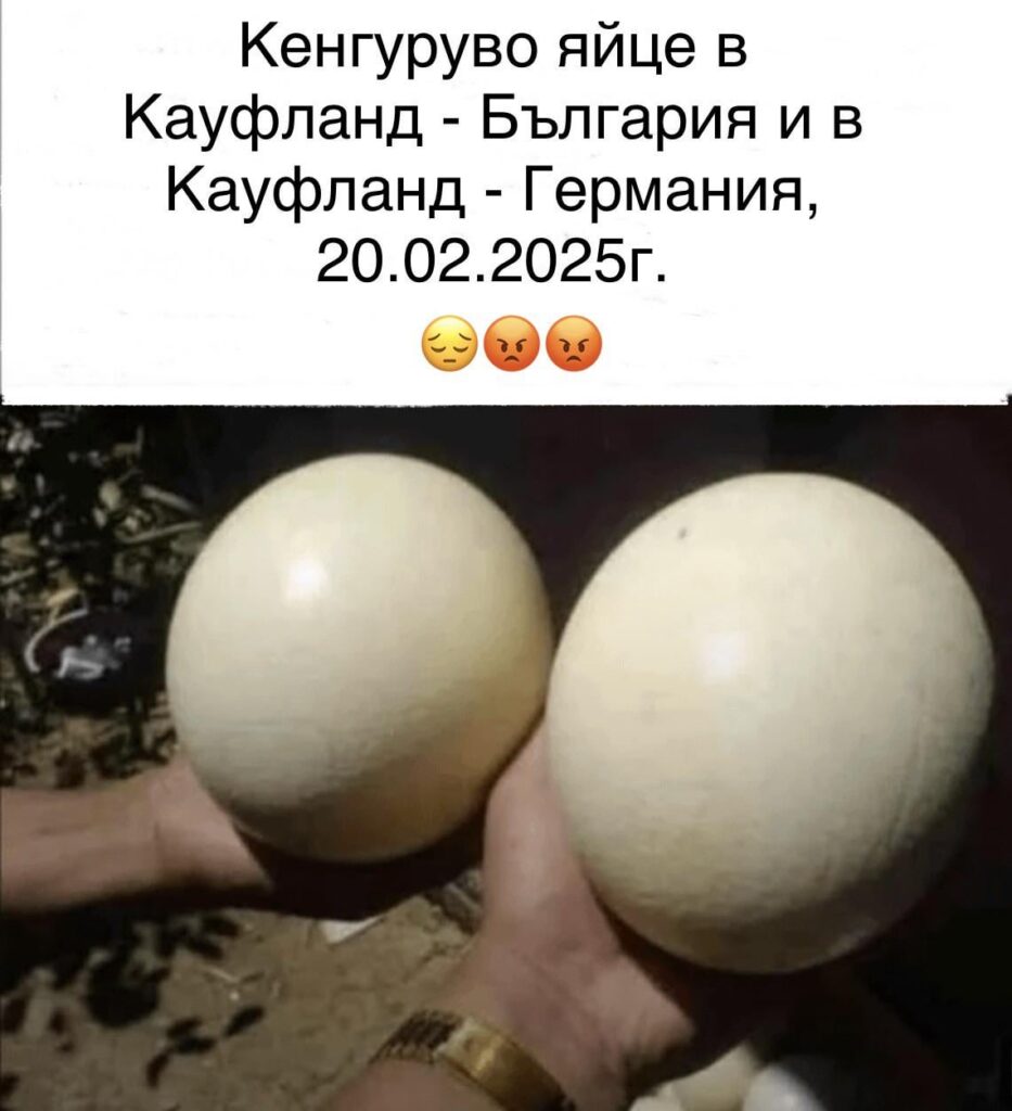 ホラー...