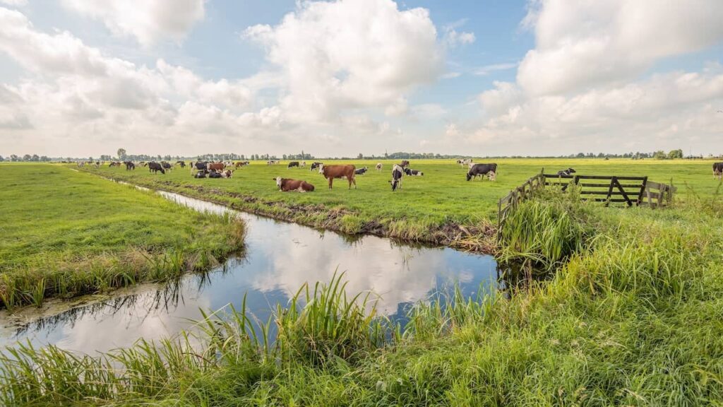 オランダは、汚れた溝、川、湖のために、指に大きな平手打ちを受けます