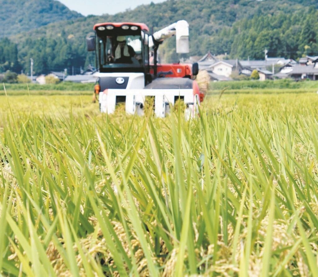 「時給10円」の衝撃…農家は「令和の百姓一揆」を決意した 作る側も買う側も苦しい「価格」、どう解決？
