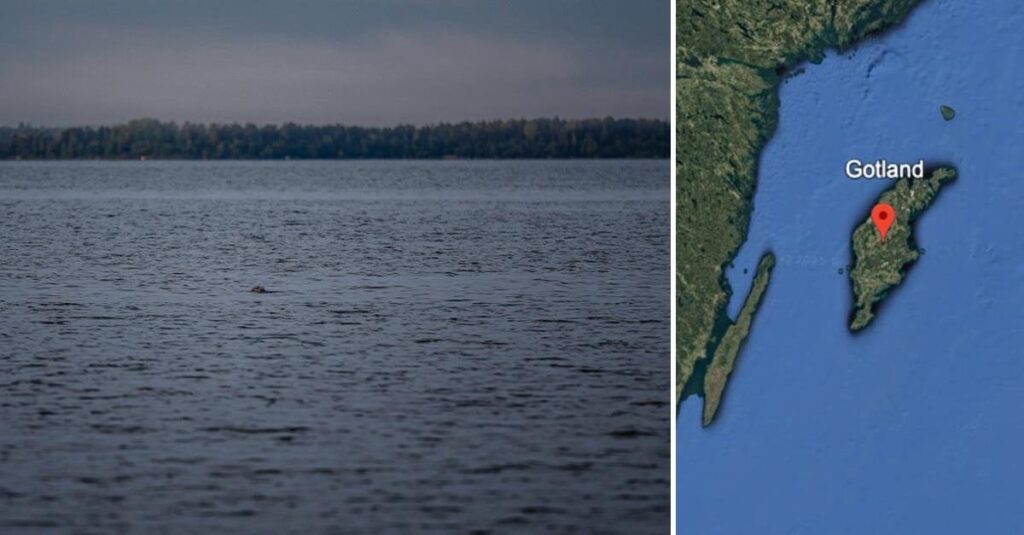 Gotland以外では、新しいケーブルブレイクが調査されています